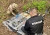 Вилучення зброї під час спецоперації Нацполіції