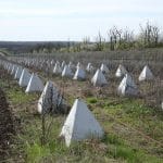 Україна терміново укріплює кордон з Придністров’ям