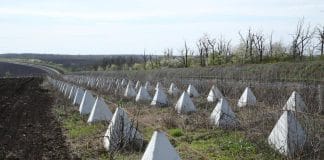 Україна укріплює кордон із Придністров’ям