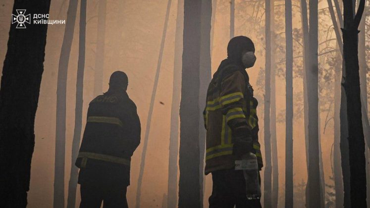 ДСНС гасять пожежу в Чорнобилі