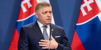 Fico to deliver Zelensky's message to Putin