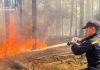 Ліквідація лісової пожежі у Зоні відчуження