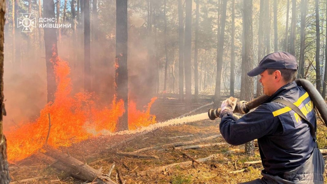 Elimination of a forest fire in the Exclusion Zone