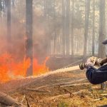 Large-scale fire in the Chornobyl zone: 1200 hectares burning