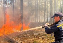 Ліквідація лісової пожежі у Зоні відчуження