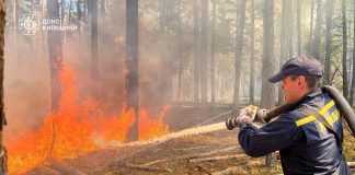 Elimination of a forest fire in the Exclusion Zone