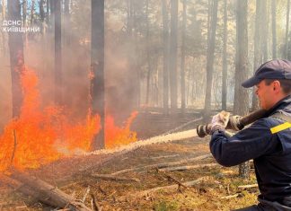 Масштабна пожежа у Чорнобильській зоні: горить 1200 гектарів Ліквідація лісової пожежі у Зоні відчуження