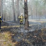 Пожежа у Поліському заповіднику, палають сотні гектарів