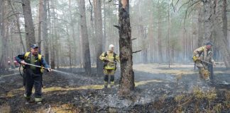 Ліквідація лісової пожежі у Поліському заповіднику