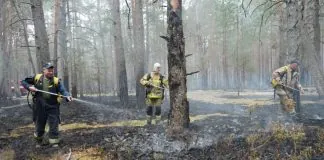 Ліквідація лісової пожежі у Поліському заповіднику