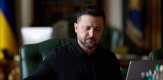 Zelenskyy and UAE President discuss cooperation