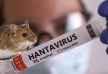 Хантавірус в Україні
