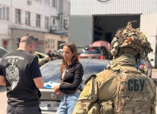 Searches of volunteer Anna Krivuts