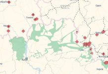 Map of Chernihiv region showing the potential buffer zone