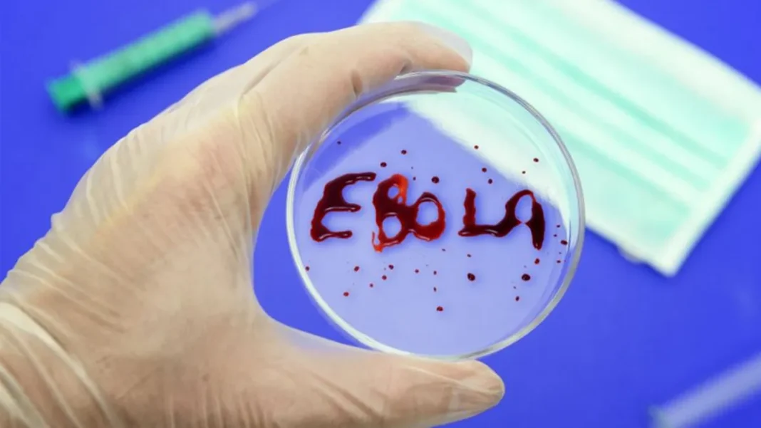 vaccine-against-ebola Розробка вакцини проти Еболи затягується