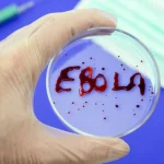 New Ebola vaccine not yet ready to be tested on humans