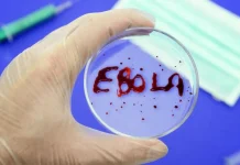 New Ebola vaccine not yet ready to be tested on humans Ebola vaccine development is delayed