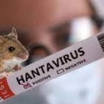 Ukraine has recorded 63 cases of hantavirus since the beginning of the year
