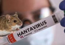 USA Hantavirus