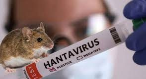 USA Hantavirus