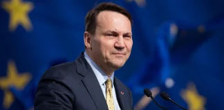 Сікорський критикує рішення Навроцького щодо Зеленського