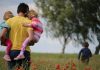 Батько з трьома дітьми на маковому полі в Україні святкує День батька 2026.