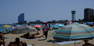 Europe is suffering from a heatwave: temperatures of up to +40°C and train cancellations Heatwave in Europe: temperatures of up to +40°C, red alerts and train cancellations.