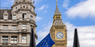 The tenth anniversary of Brexit in the UK, the new government and opportunities for cooperation with the EU.