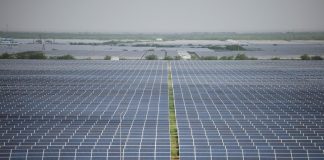 Solar panels and wind turbines against a cloudy sky in India, symbolising green energy and weather forecasting.