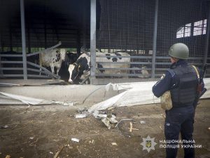 Пошкоджене господарство після обстрілу РФ. 