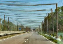 Ukraine strengthens defence on the border with Belarus: anti-drone nets and new fortifications Anti-drone nets on the border area of Volyn region to protect against enemy drones.