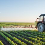 The Cabinet of Ministers is launching the «Agricultural Thousand» scheme to support farmers in Ukraine