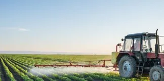 Кабінет Міністрів запускає «аграрну тисячу» для підтримки фермерів в Україні Аграрна тисяча: програма підтримки фермерів в Україні на 2026 рік.