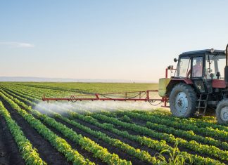 The Cabinet of Ministers is launching the «Agricultural Thousand» scheme to support farmers in Ukraine The Agricultural Thousand: a programme to support farmers in Ukraine for 2026.