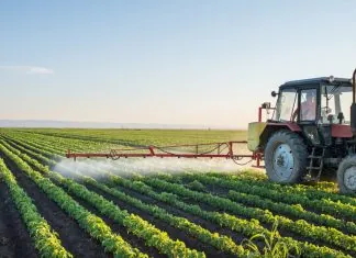 Аграрна тисяча: програма підтримки фермерів в Україні на 2026 рік.