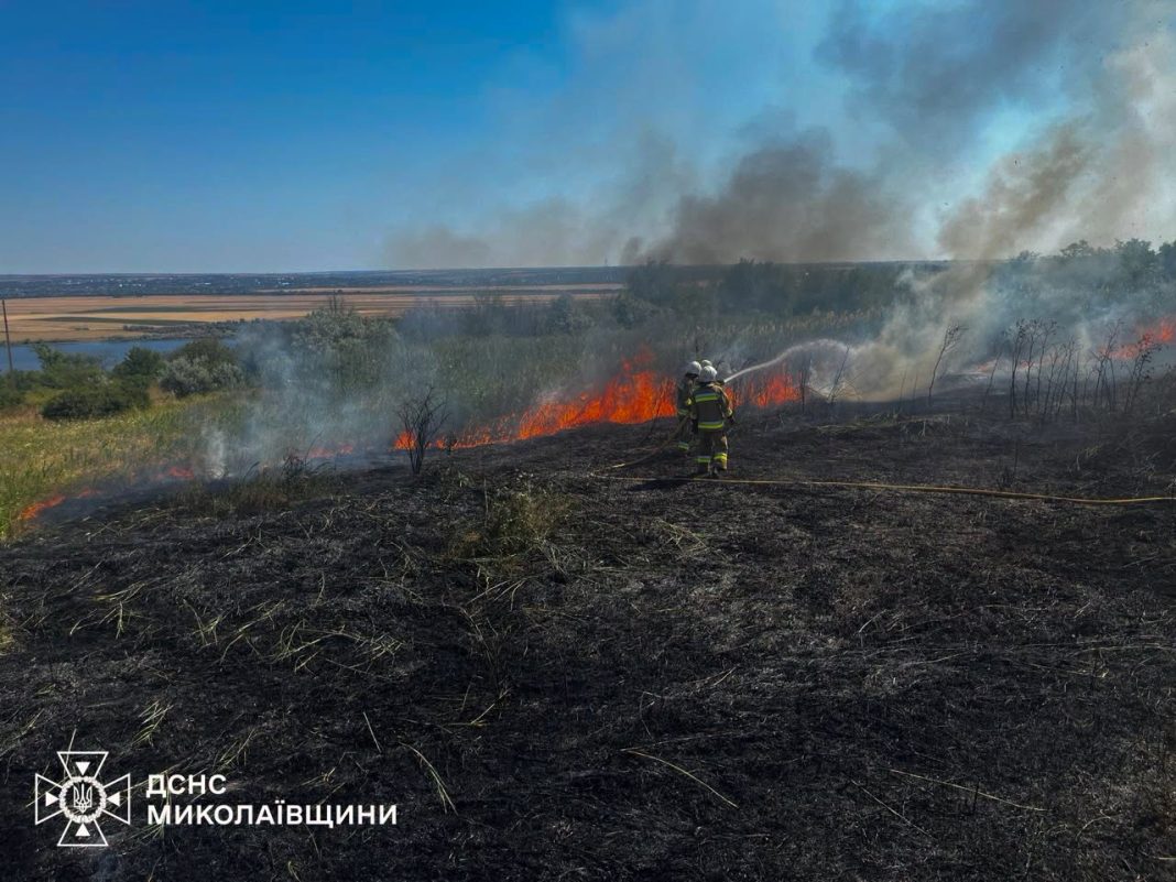Пожежа в екосистемі України, що охопила 118 гектарів.