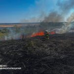 Аномальна спека випалює Україну: за добу сталося 220 пожеж