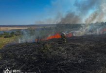 A fire in Ukraine’s ecosystem, which has spread across 118 hectares.
