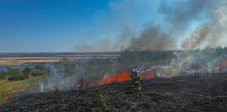 Пожежа в екосистемі України, що охопила 118 гектарів.