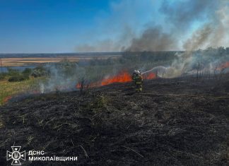 Пожежа в екосистемі України, що охопила 118 гектарів.