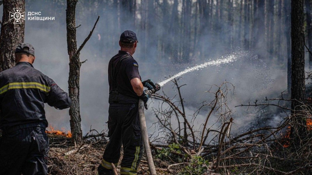 Rescue workers from the State Emergency Service are putting out a fire in the Chernobyl exclusion zone.