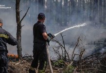 Rescue workers from the State Emergency Service are putting out a fire in the Chernobyl exclusion zone.