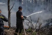Рятувальники ДСНС ліквідовують пожежу в Чорнобильській зоні.