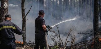 Рятувальники ДСНС ліквідовують пожежу в Чорнобильській зоні.