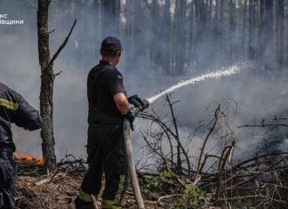 Рятувальники ДСНС ліквідовують пожежу в Чорнобильській зоні.