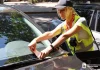 Штрафи за неправильне паркування в Україні можуть зрости до 50 тисяч гривень.