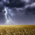 Грози та короткочасні дощі прогнозують в Україні 14 липня