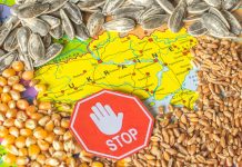 Польща підтвердила збереження заборони на імпорт агропродукції з України Карта України, оточена зернами пшениці, кукурудзи та соняшнику, із заборонним знаком «STOP» поверх неї як символ ембарго на імпорт агропродукції до Польщі.