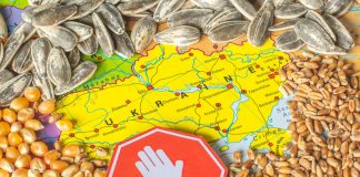 A map of Ukraine, surrounded by grains of wheat, maize and sunflower seeds, with a «STOP» sign superimposed on it as a symbol of the embargo on agricultural imports into Poland.