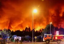 Пожежа в сосновому лісі на південному заході Франції